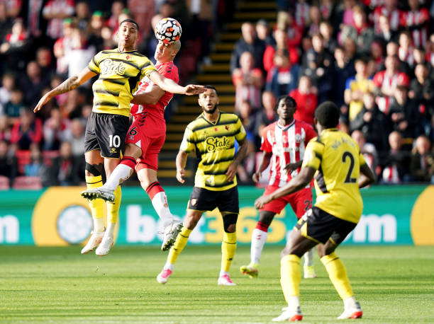 这对球迷和 这对球迷和